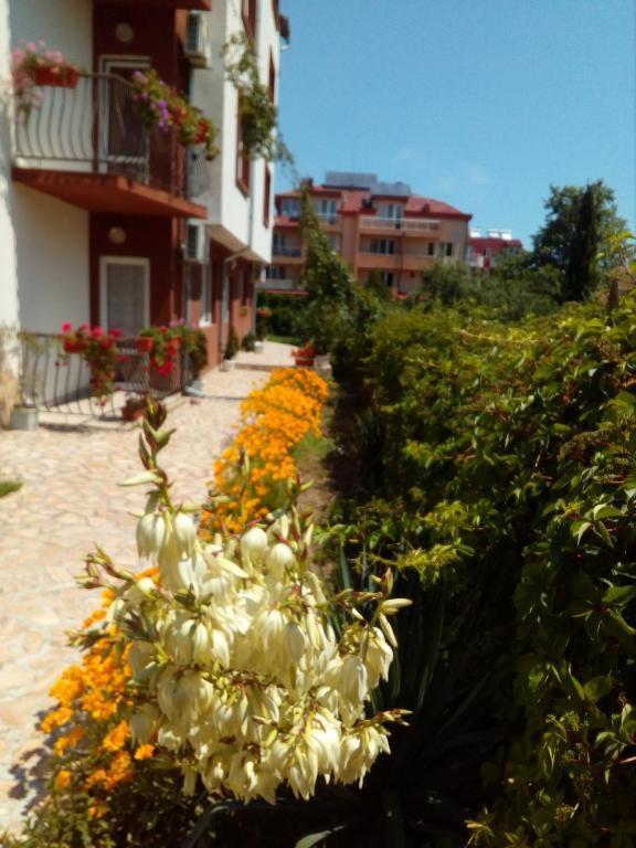 Apartments Ivelin Lozenets Bagian luar foto